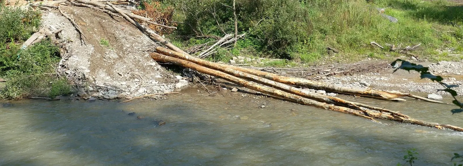 Autorizzazione alla raccolta del legname caduto nell’alveo dei corsi d’acqua 