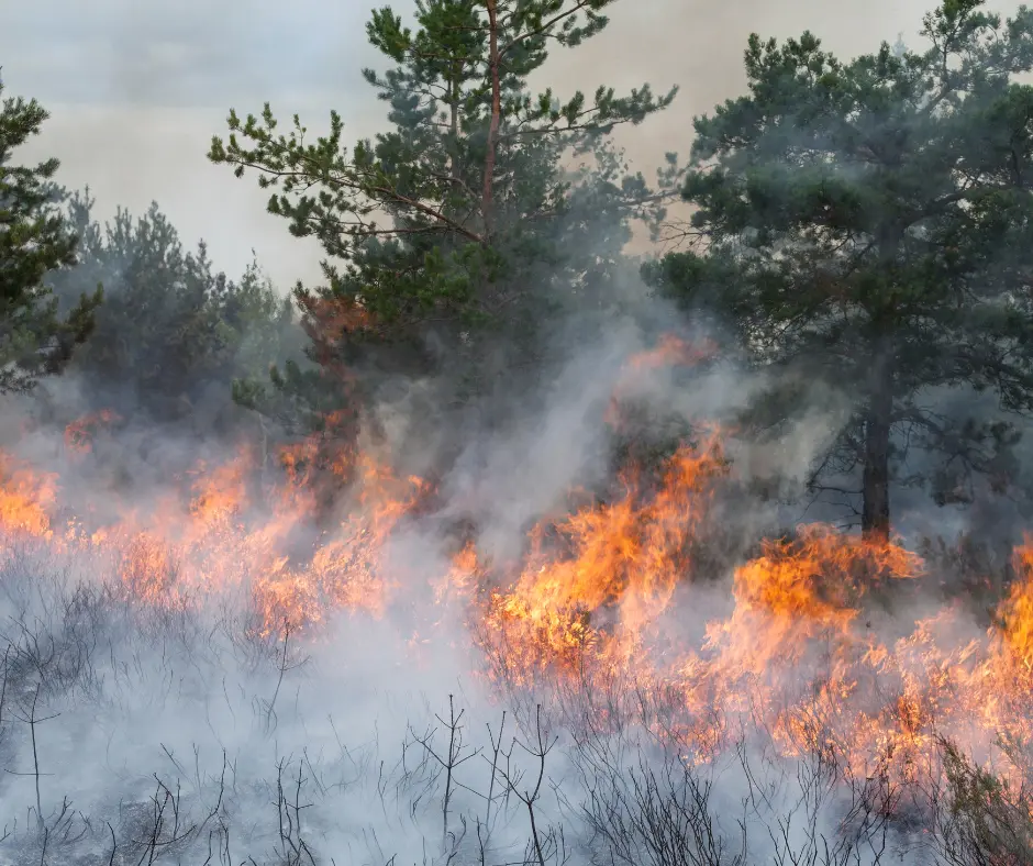 Attivazione fase per incendi boschivi 